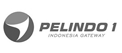 Pelindo Pelindo